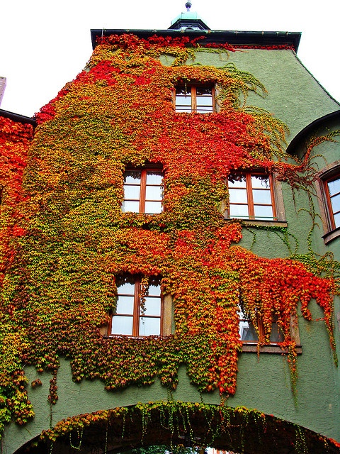0 (33).jpg