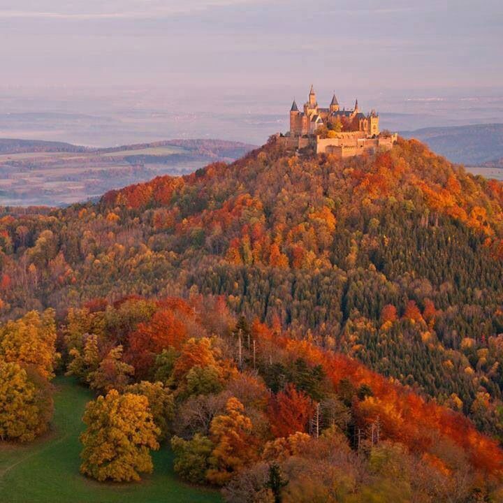 0 (43).jpg
