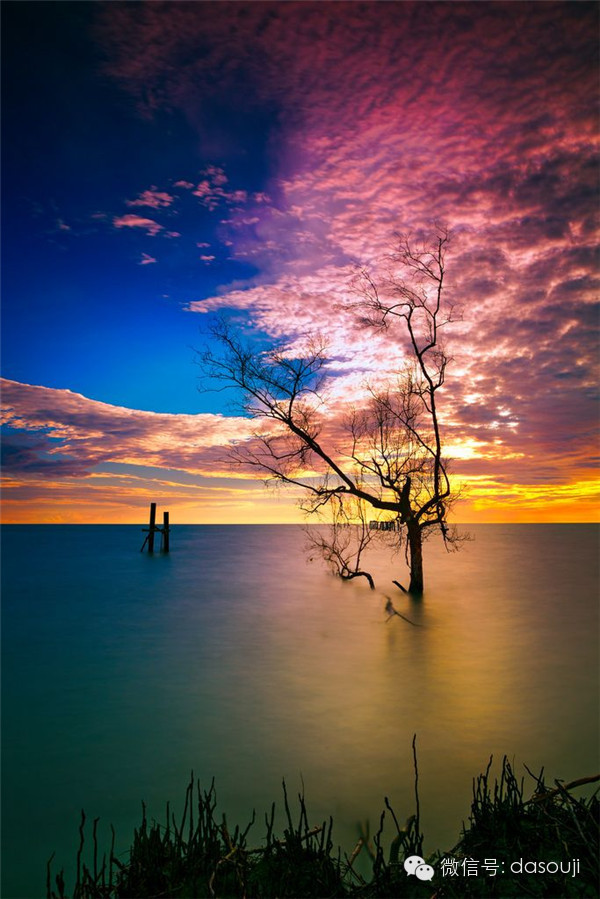 a70.jpg