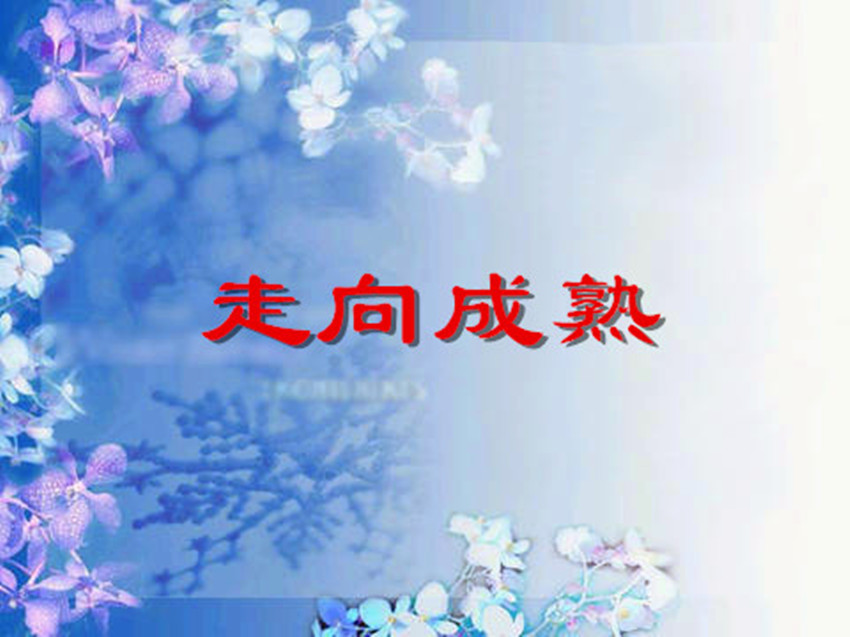 075237p9d3u9vv494ggsuv.jpg