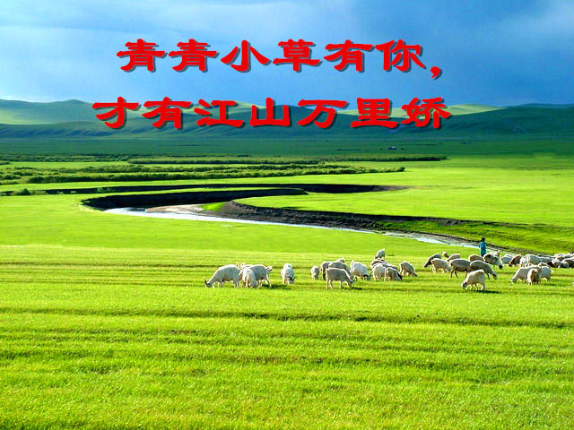 113124bk51ev6be6gkqce1.jpg
