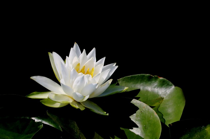 shuilian-005.jpg