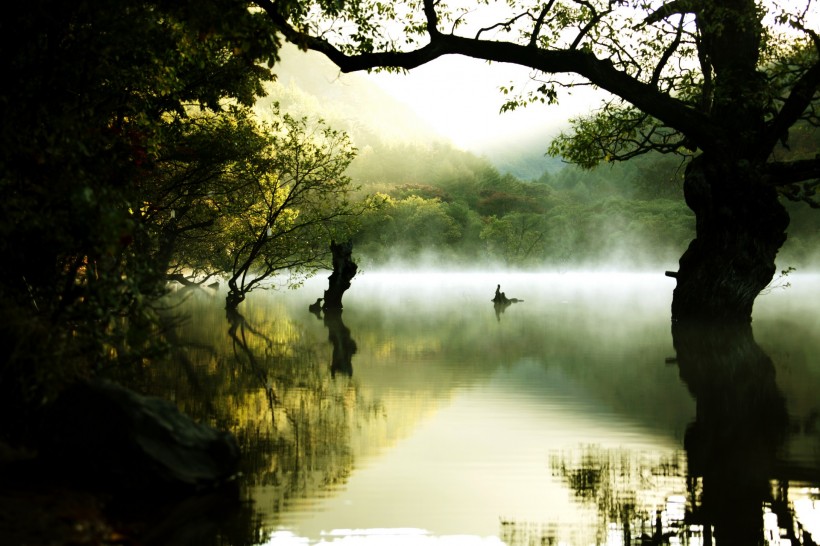 yunwuliaorao-011.jpg