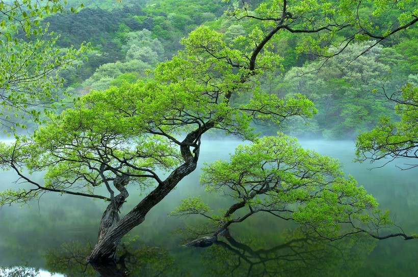 yunwuliaorao-028.jpg