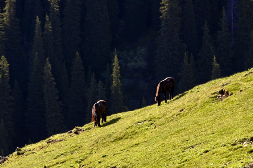 tianshan_da_xiagu-004.jpg