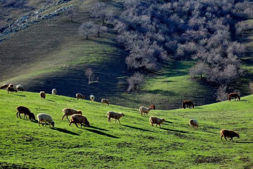tianshan-007.jpg