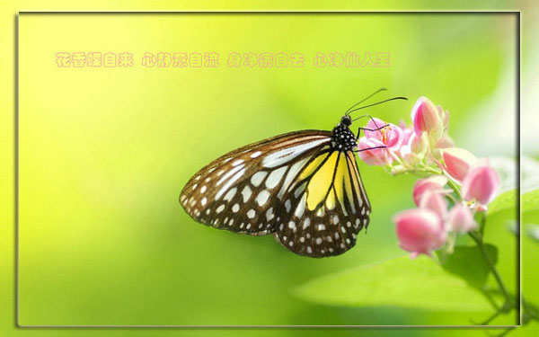 065947lggq.jpg