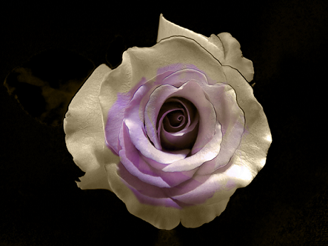 45519343_7.png
