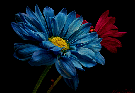 45519343_10.png