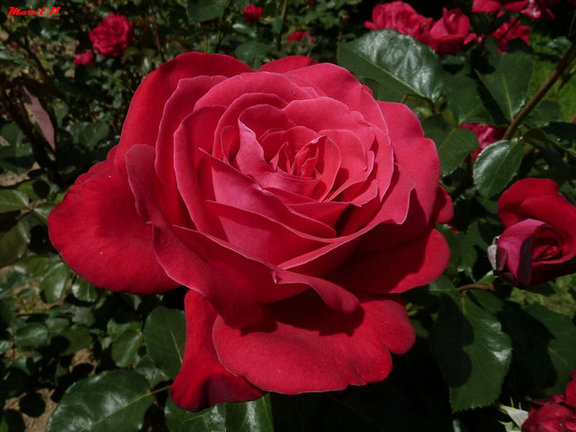 45519343_32.jpg