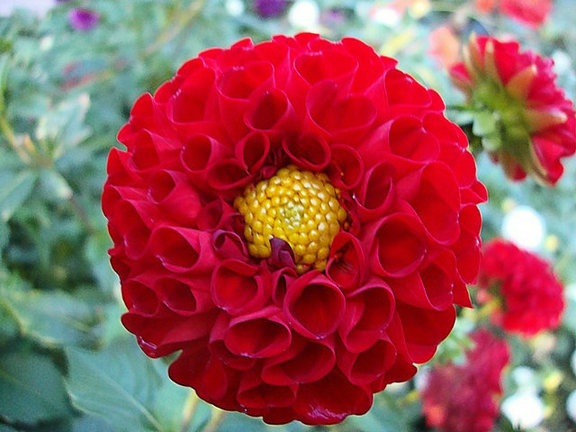 45519343_45.jpg