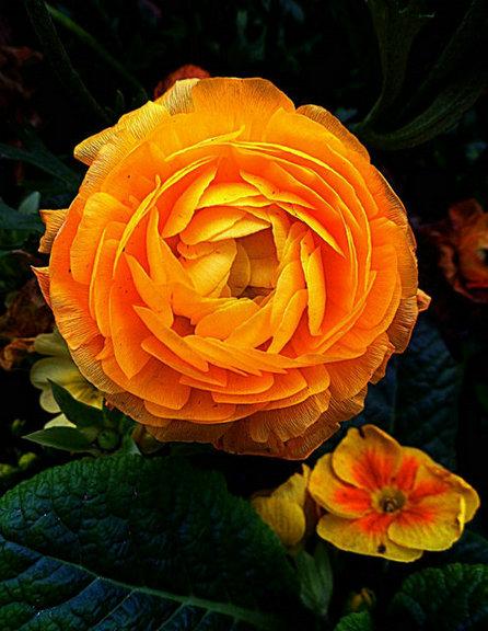 45519343_55.jpg