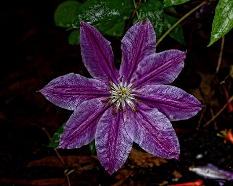 45519343_73.png