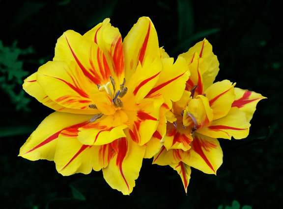 45519343_88.jpg