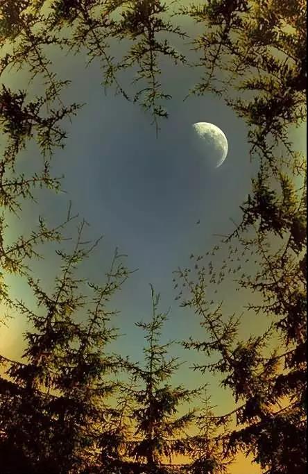 ΢ͼƬ_20171004082355.jpg