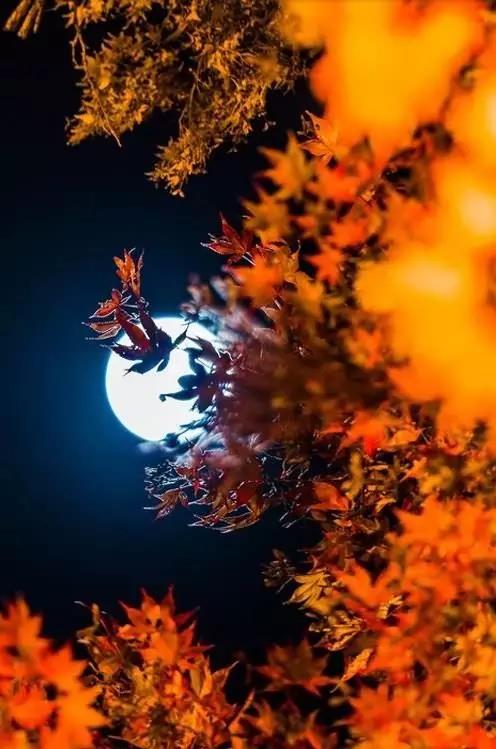 ΢ͼƬ_20171004082601.jpg