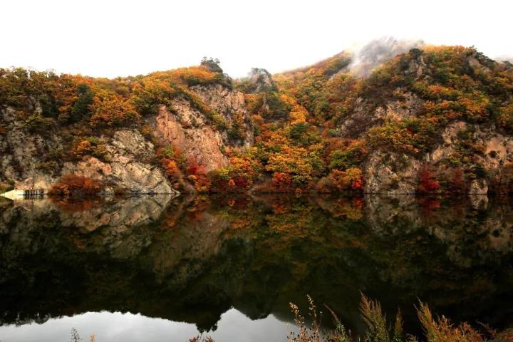 ΢ͼƬ_20171020075853.jpg