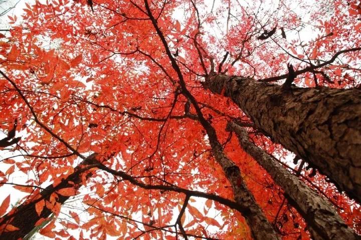 ΢ͼƬ_20171020075925.jpg