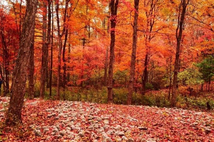 ΢ͼƬ_20171020075928.jpg