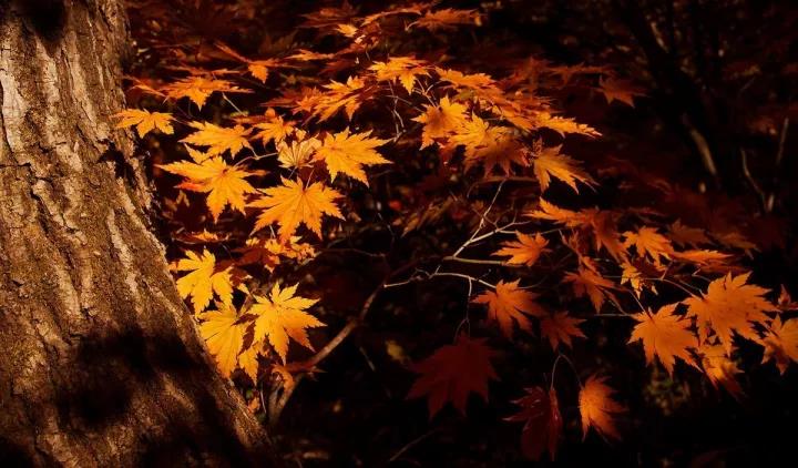 ΢ͼƬ_20171020075936.jpg