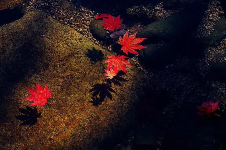 ΢ͼƬ_20171020075943.jpg