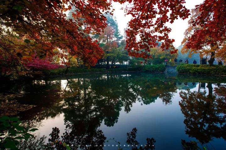 ΢ͼƬ_20171020080221.jpg