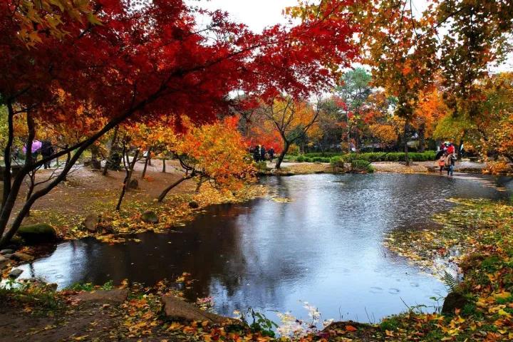 ΢ͼƬ_20171020080224.jpg
