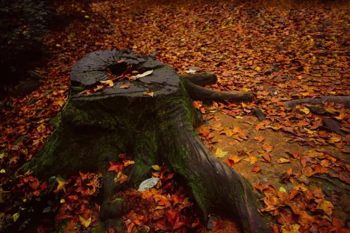΢ͼƬ_20171020080237.jpg