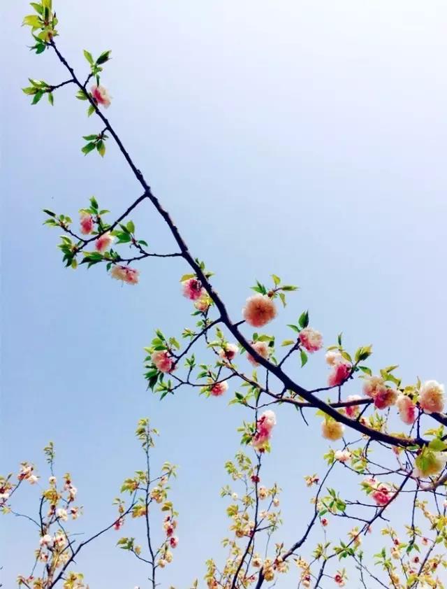΢ͼƬ_20171104093705.jpg