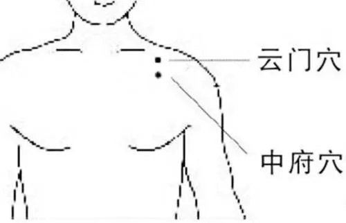 5.webp.jpg