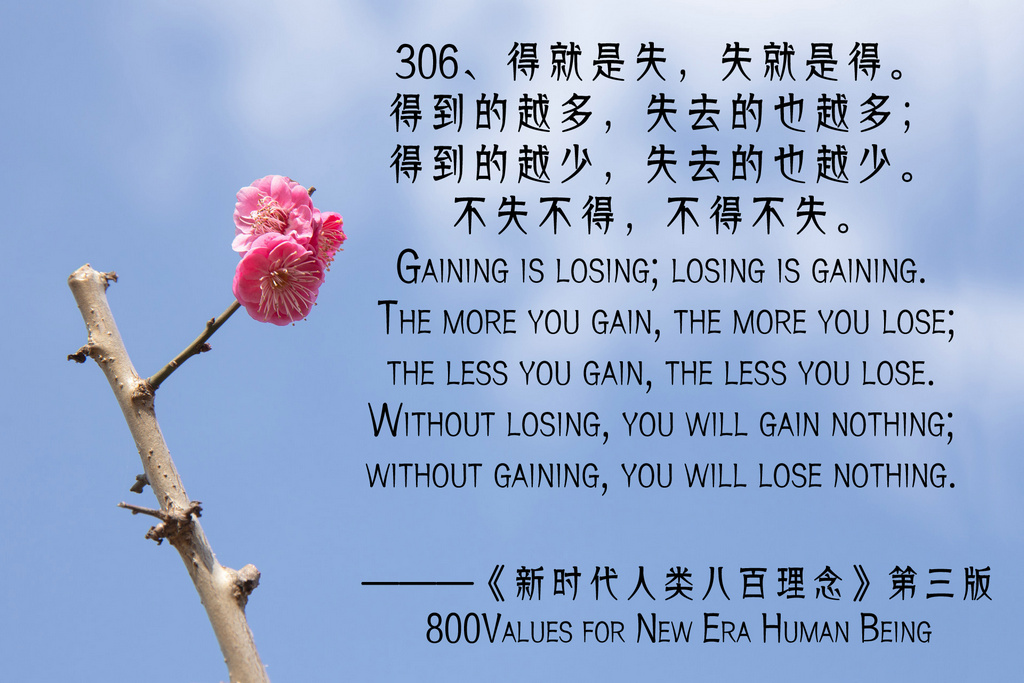 306.jpg