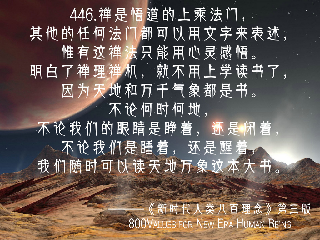 4461.jpg