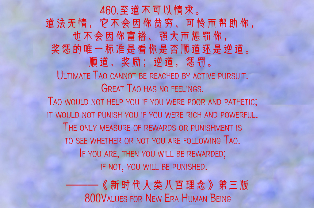 460.jpg