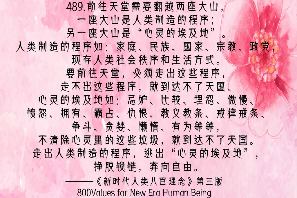 489.jpg