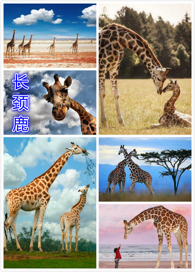 ¹.jpg
