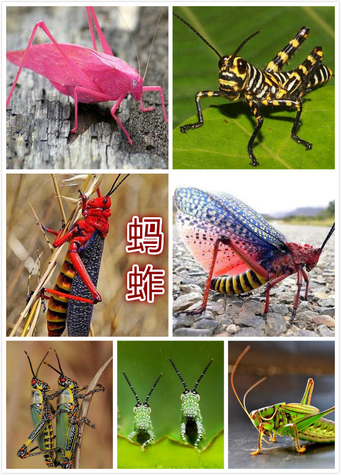 ȳ棨ƣ.jpg