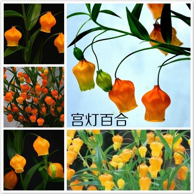 ưٺ.jpg
