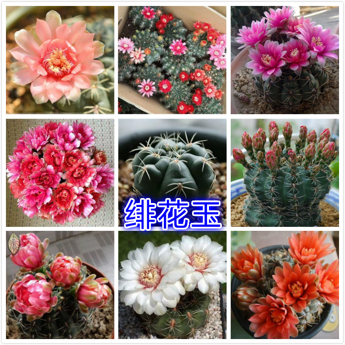 系.jpg