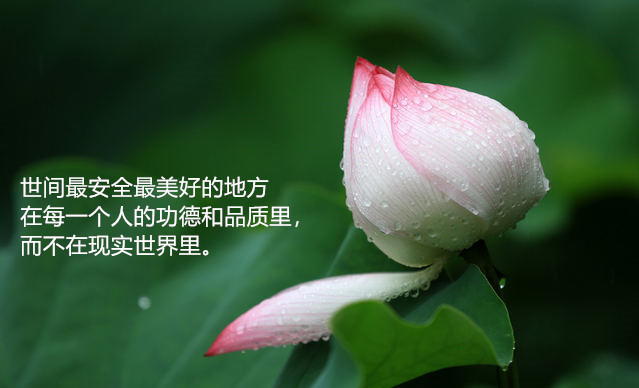 153723tfkdiwfsfwafu2s9_.jpg