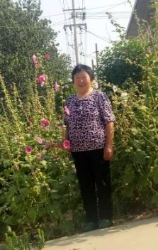太境草.jpg