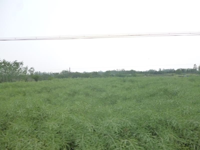 20200327_070847_2220.jpg