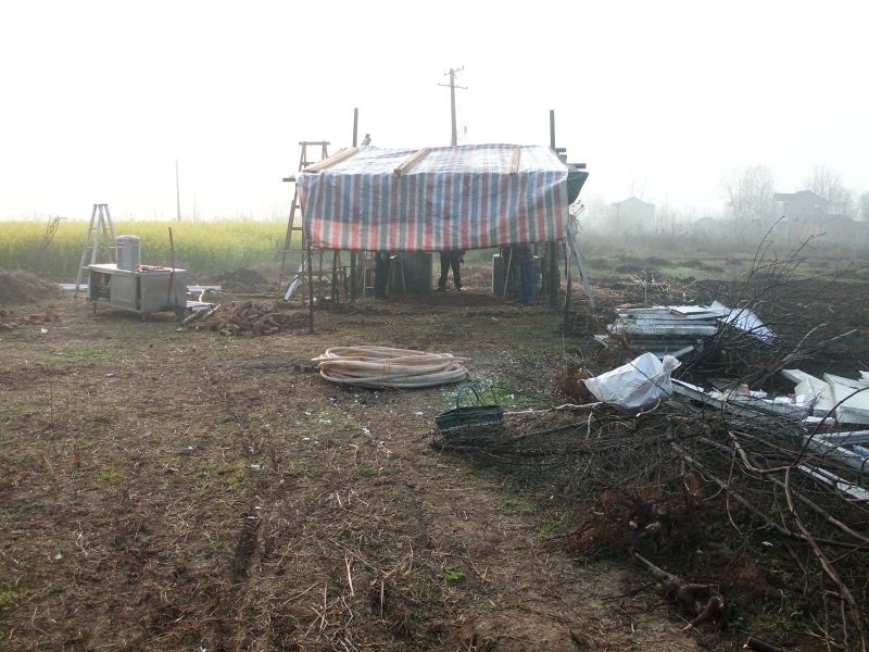 20200327_070847_2262.jpg
