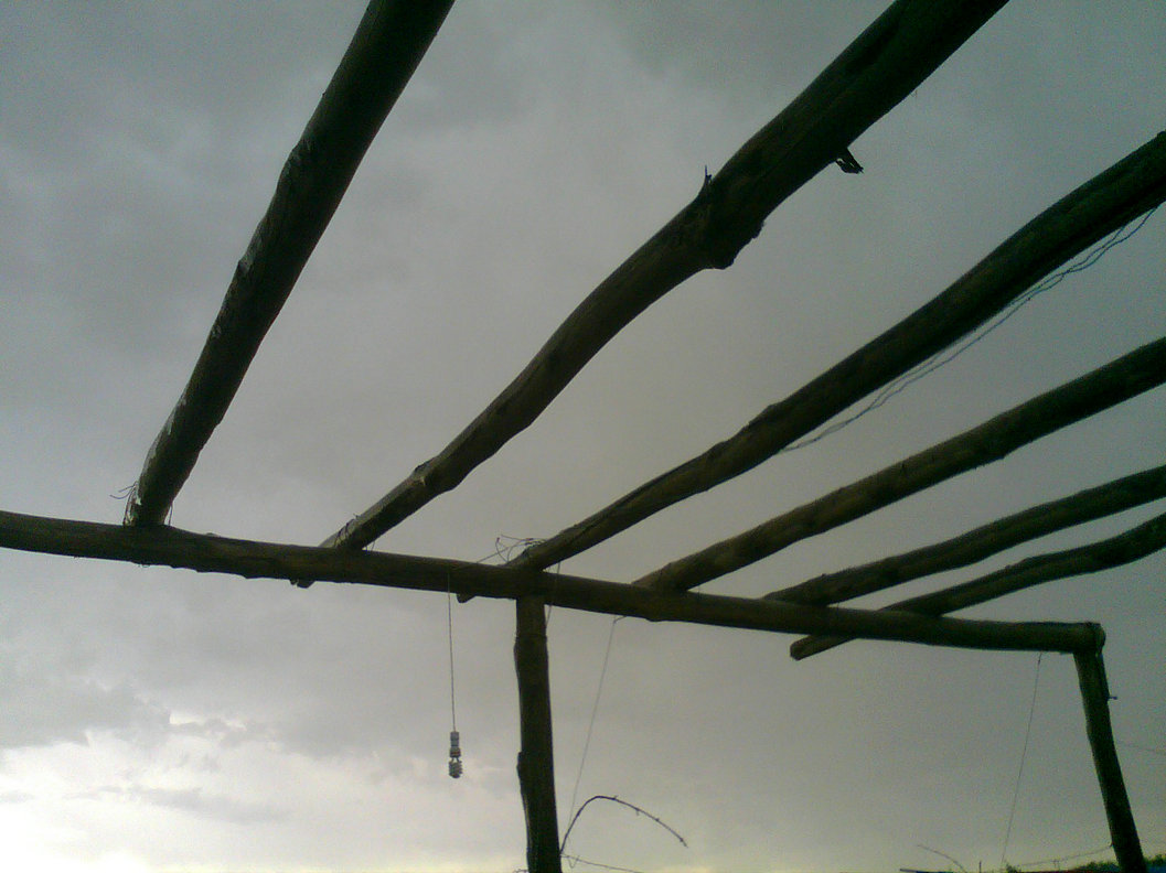 20200327_072558_2942.jpg