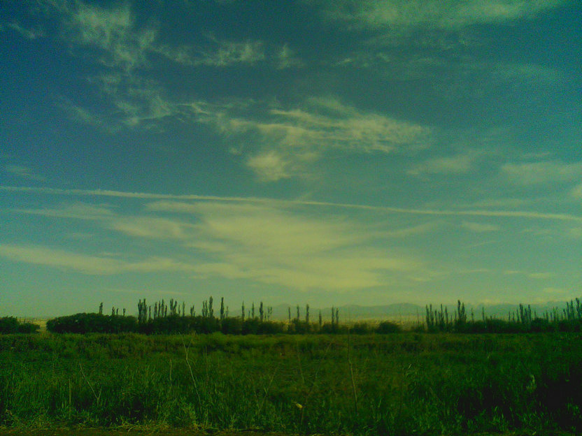 20200327_072558_2948.jpg