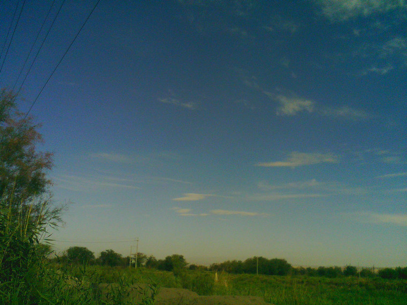 20200327_072558_2949.jpg