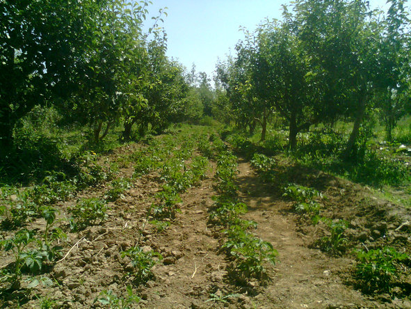 20200327_082516_304.jpg