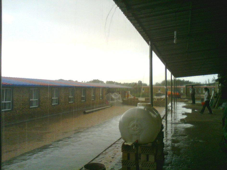 20200313_135555_1446.jpg