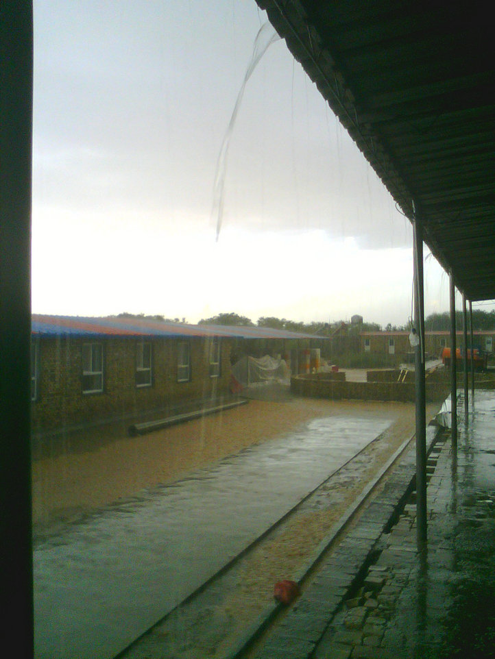 20200313_135555_1448.jpg