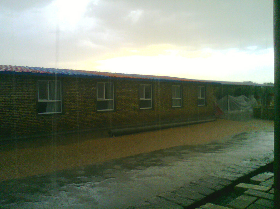 20200313_135555_1449.jpg
