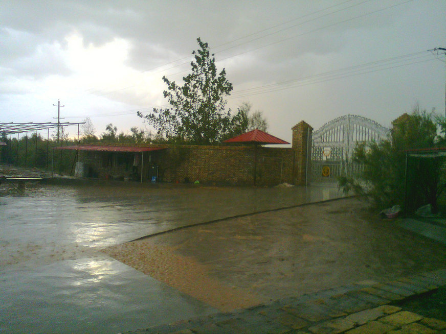 20200313_135555_1450.jpg